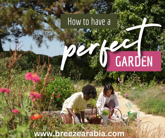 Essential Gardening Tips and Tools for a Beautiful Home Garden - Breeze Arabia